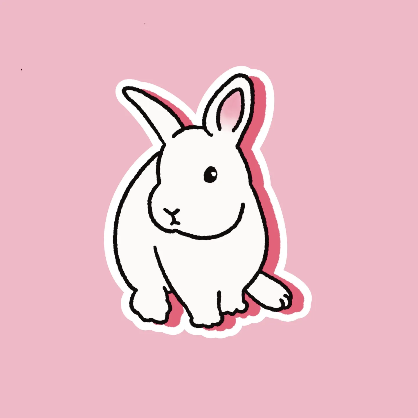 이미지 12