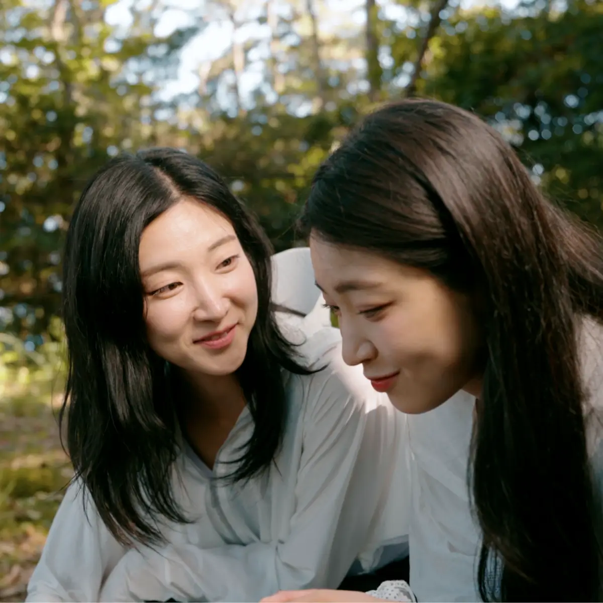 이미지 7