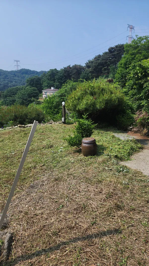 이미지 10