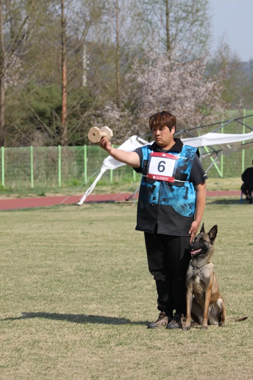 이미지 7