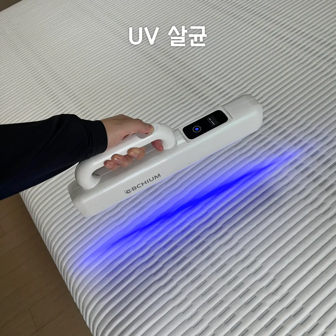 이미지 8