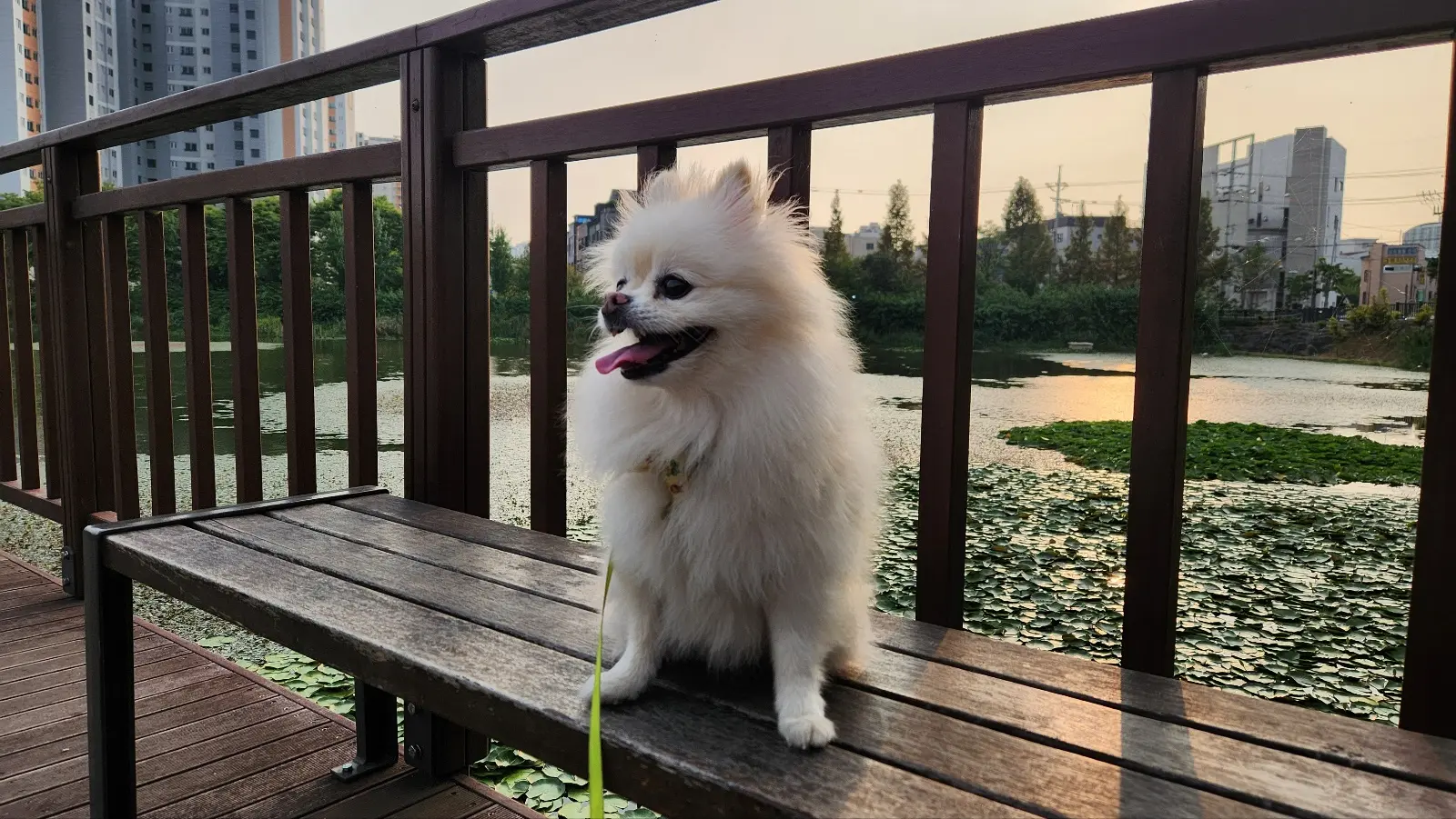 이미지 8