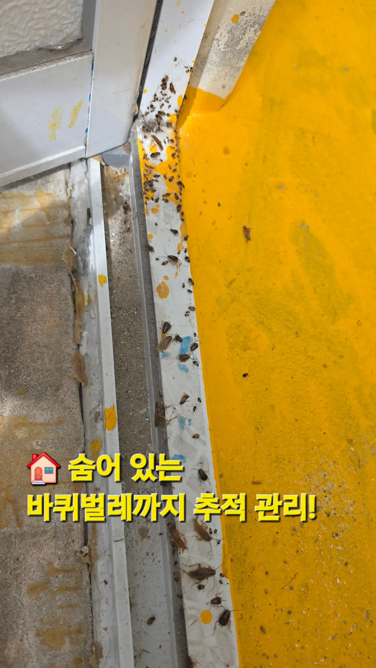 이미지 12