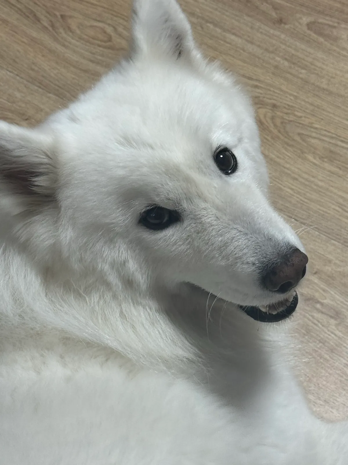 이미지 10