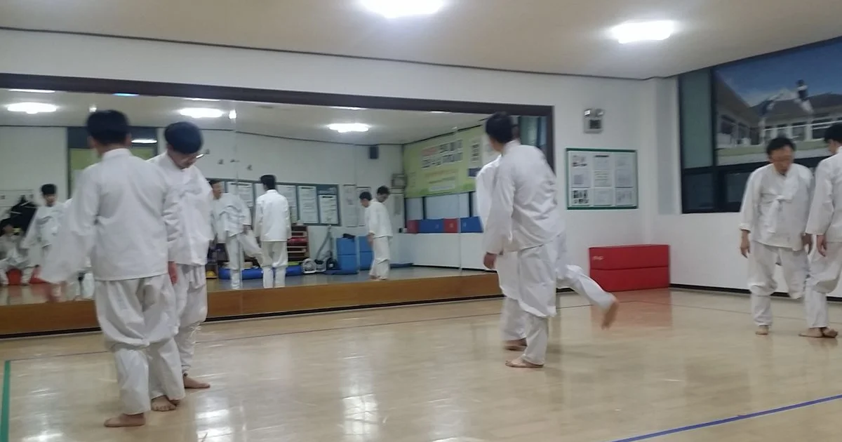 택견아카데미 / 바른몸 택견아카데미 - 숨고, 숨은고수 택견아카데미