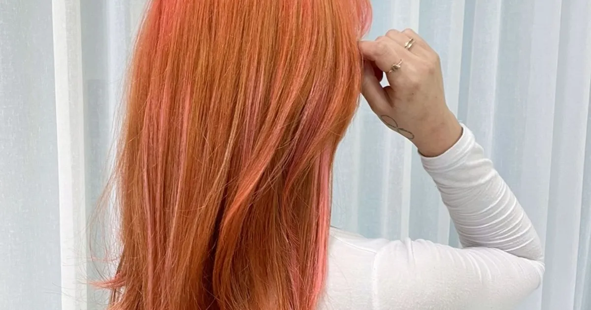 지야T 한정 봄맞이 염색 50% 할인이벤트중❤️ / 장루이다비드상인점 지야T - 숨고, 숨은고수 지야T 한정 봄맞이 염색 50% 할인이벤트중❤️