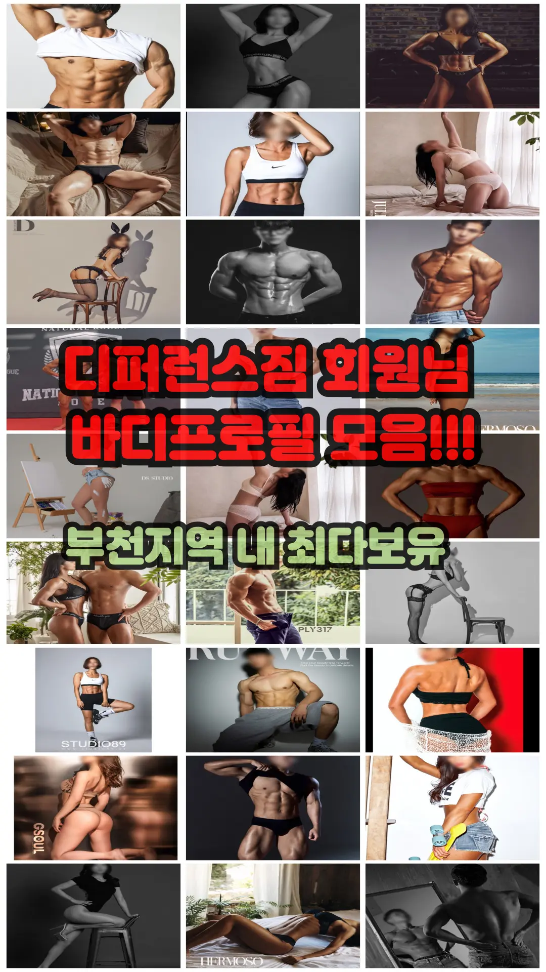 포트폴리오 이미지