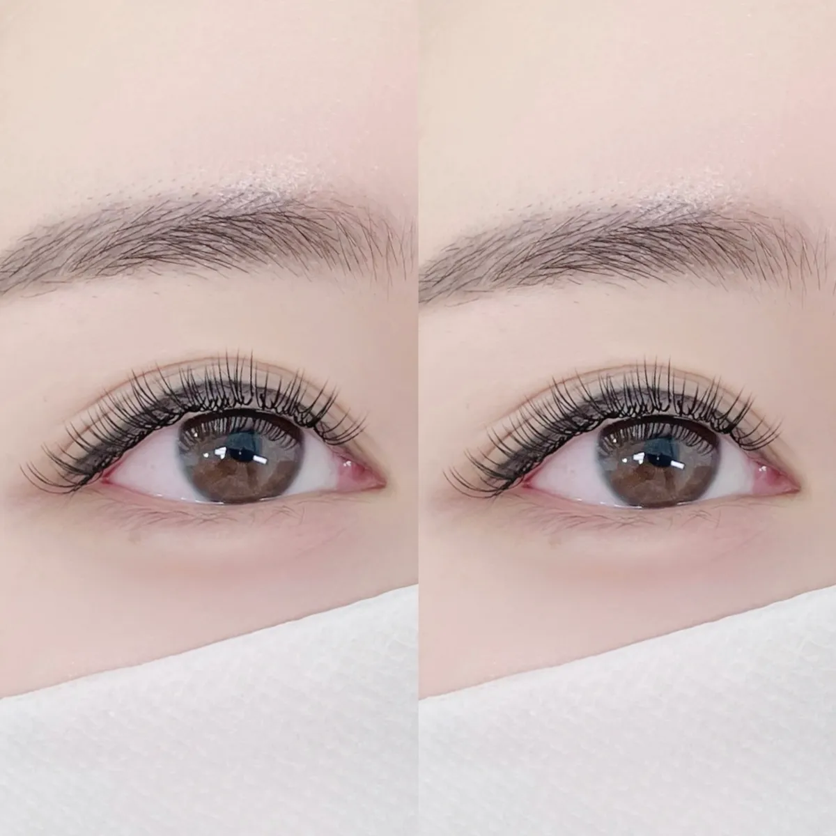 이미지 8