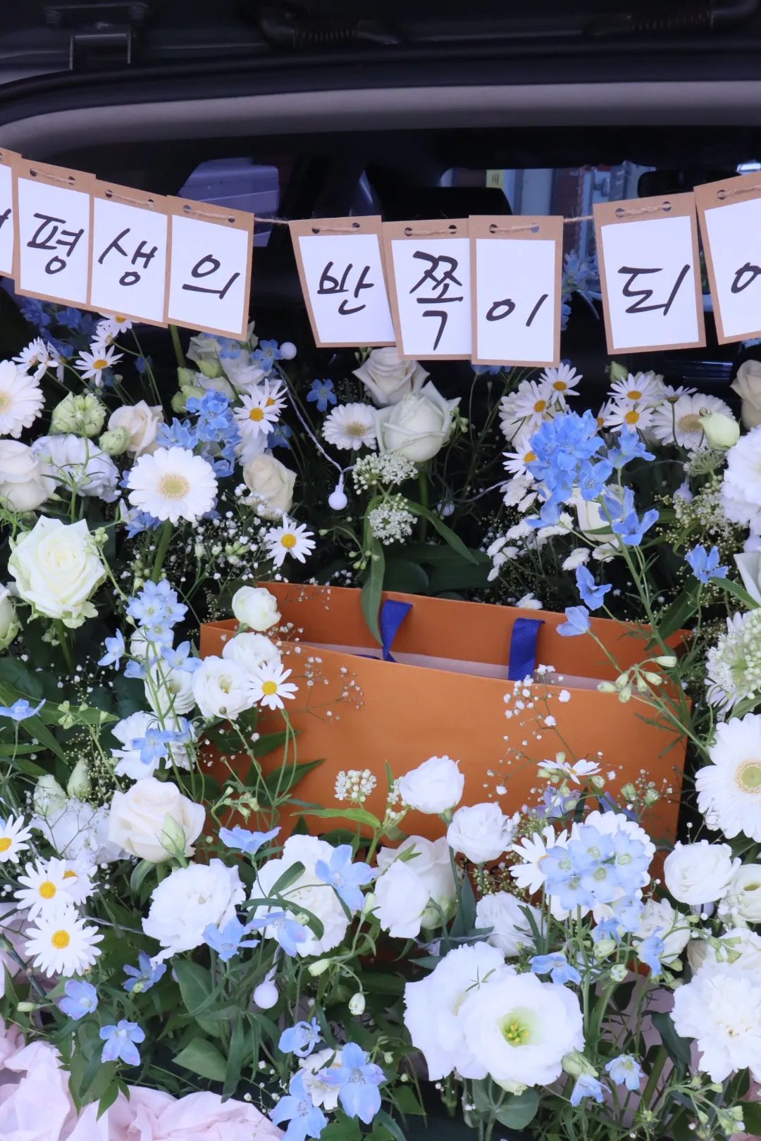 이미지 22