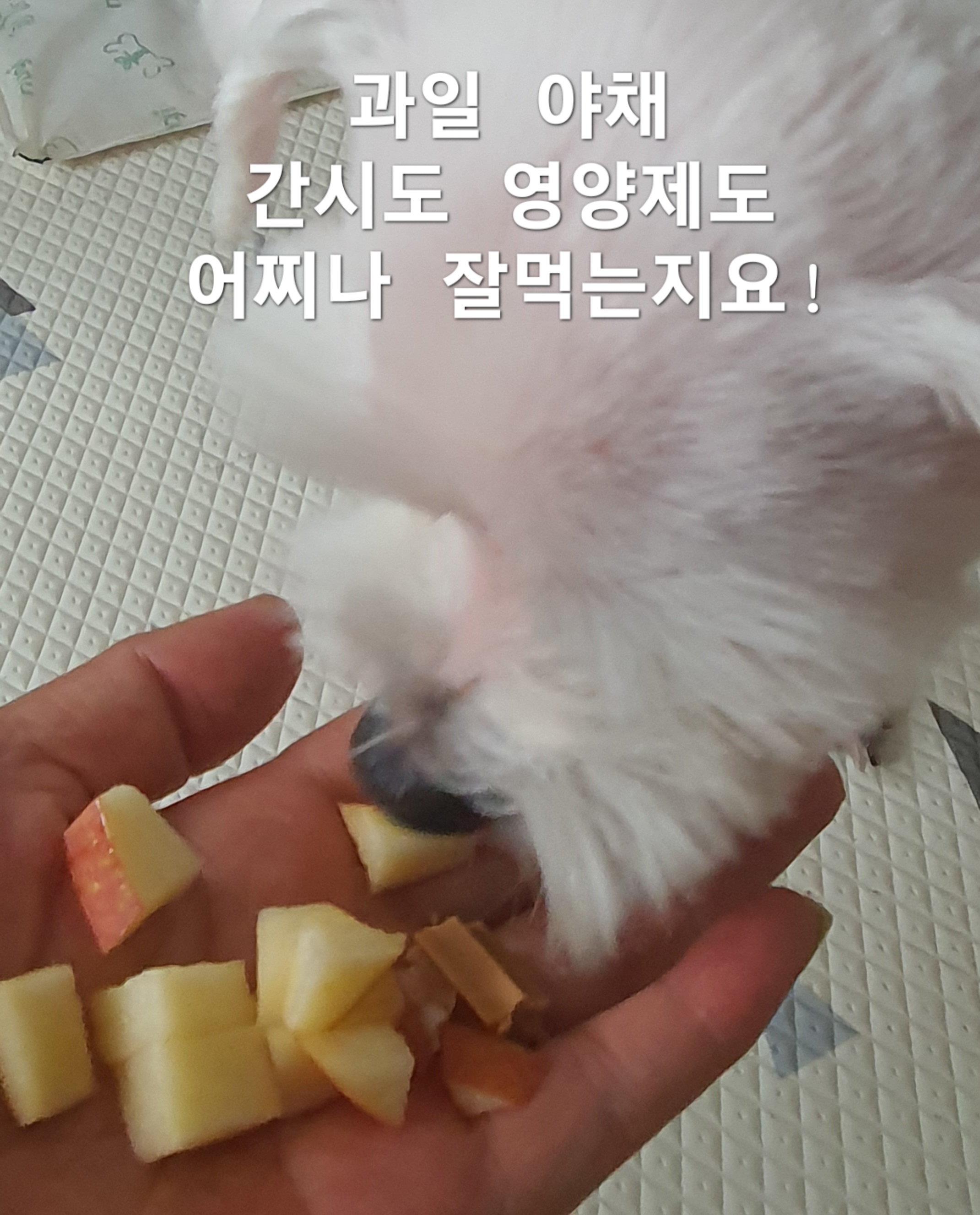 이미지 9