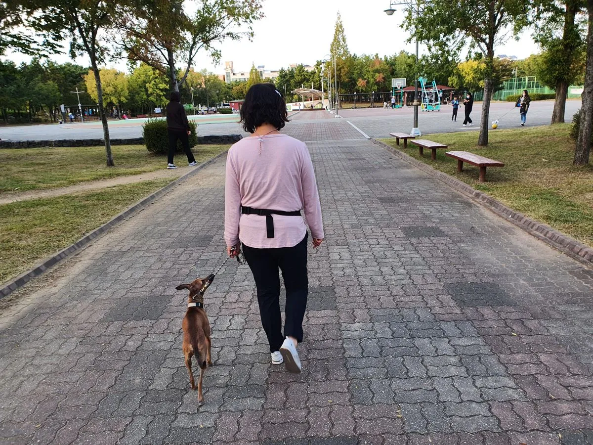 이미지 12