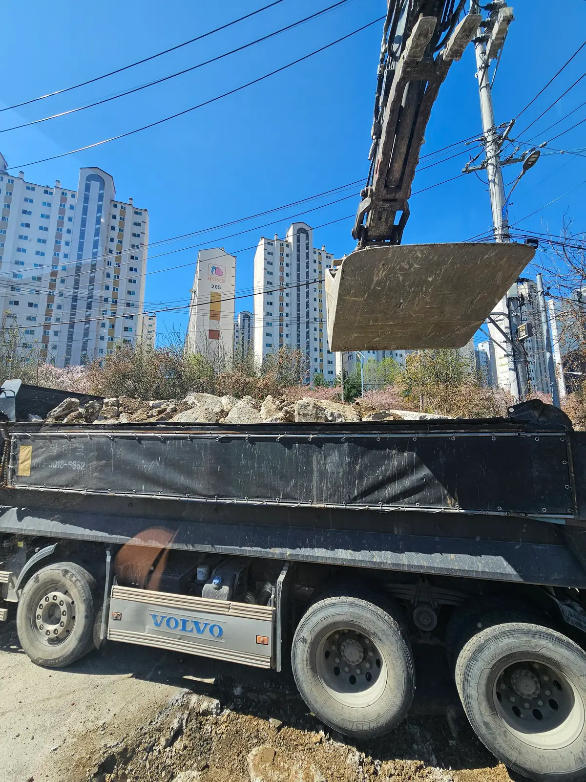 이미지 6