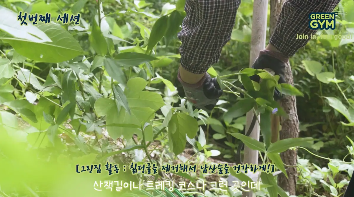 이미지 9