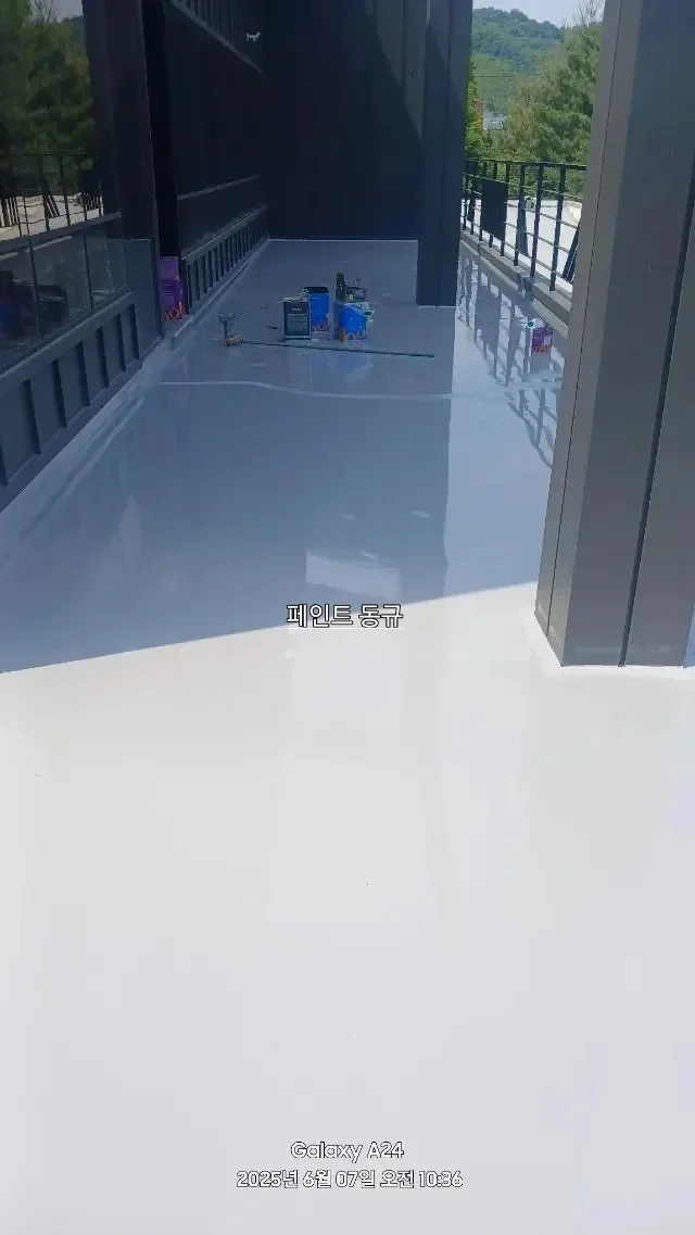 이미지 5