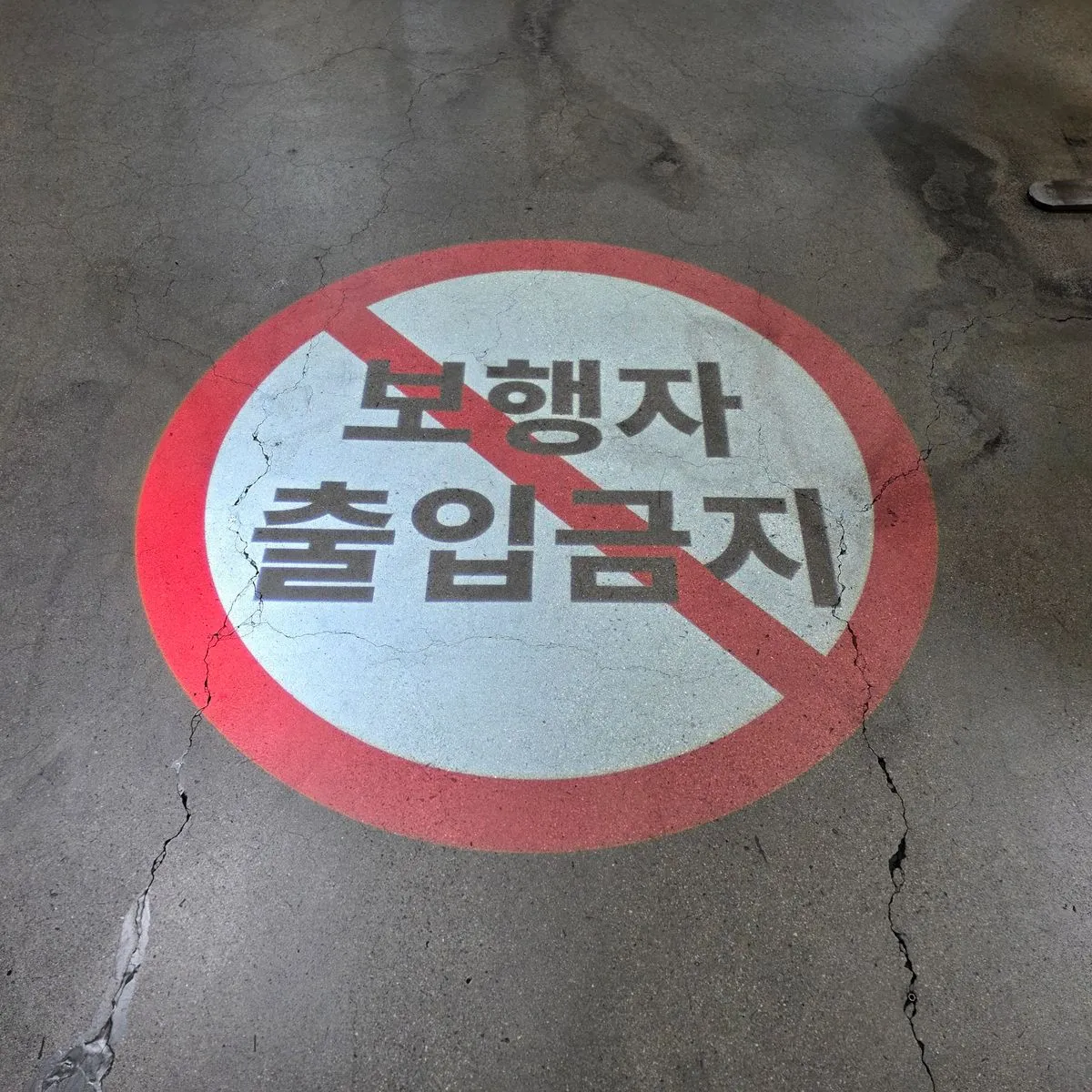 이미지 7