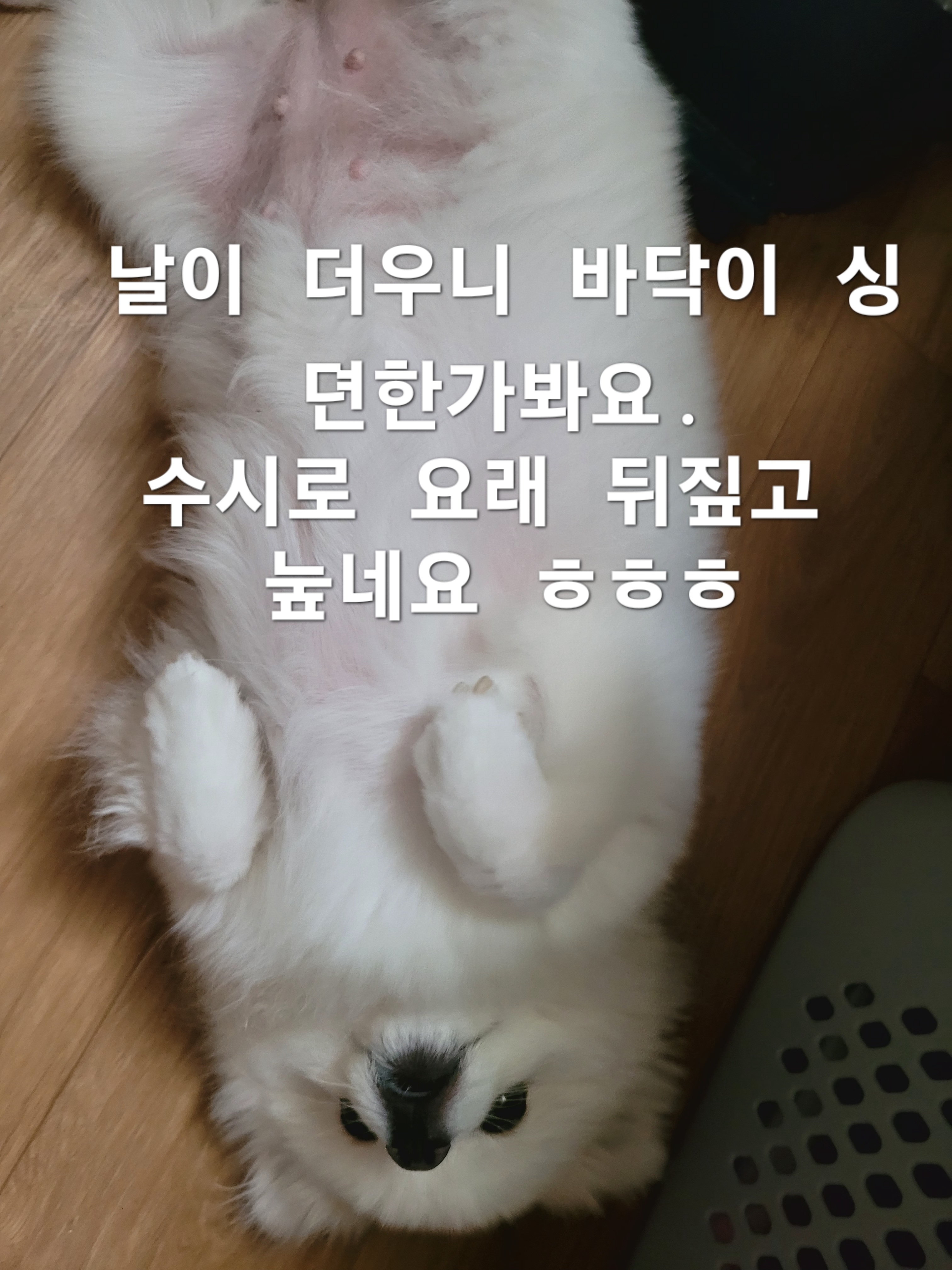 이미지 6