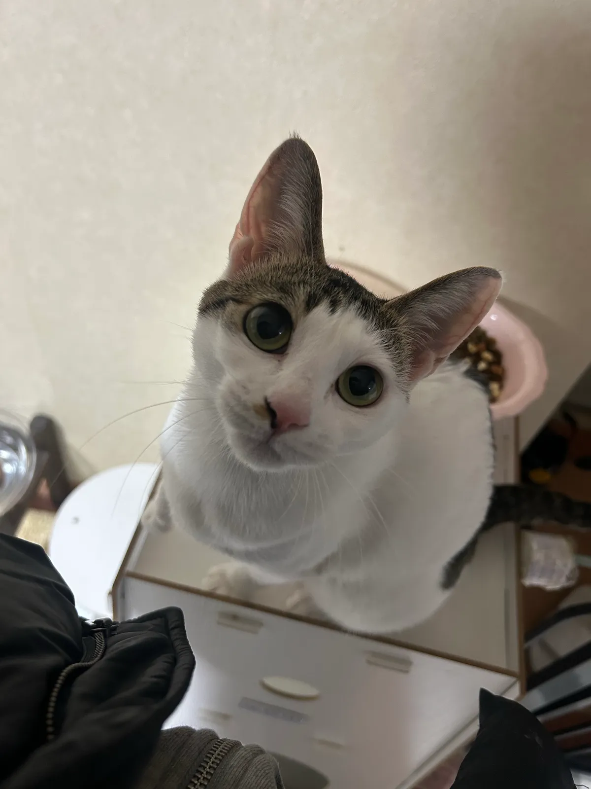이미지 6