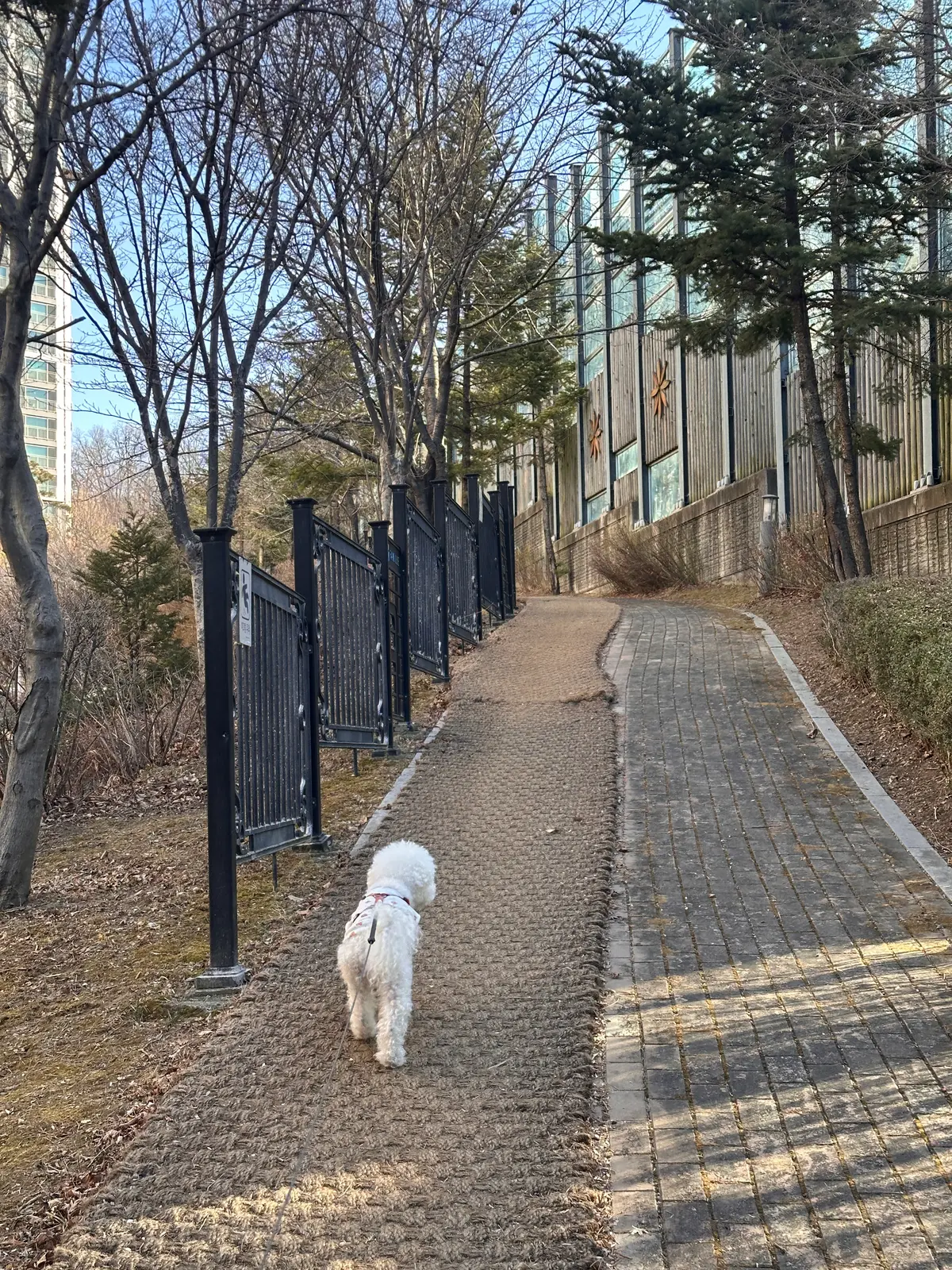 이미지 3