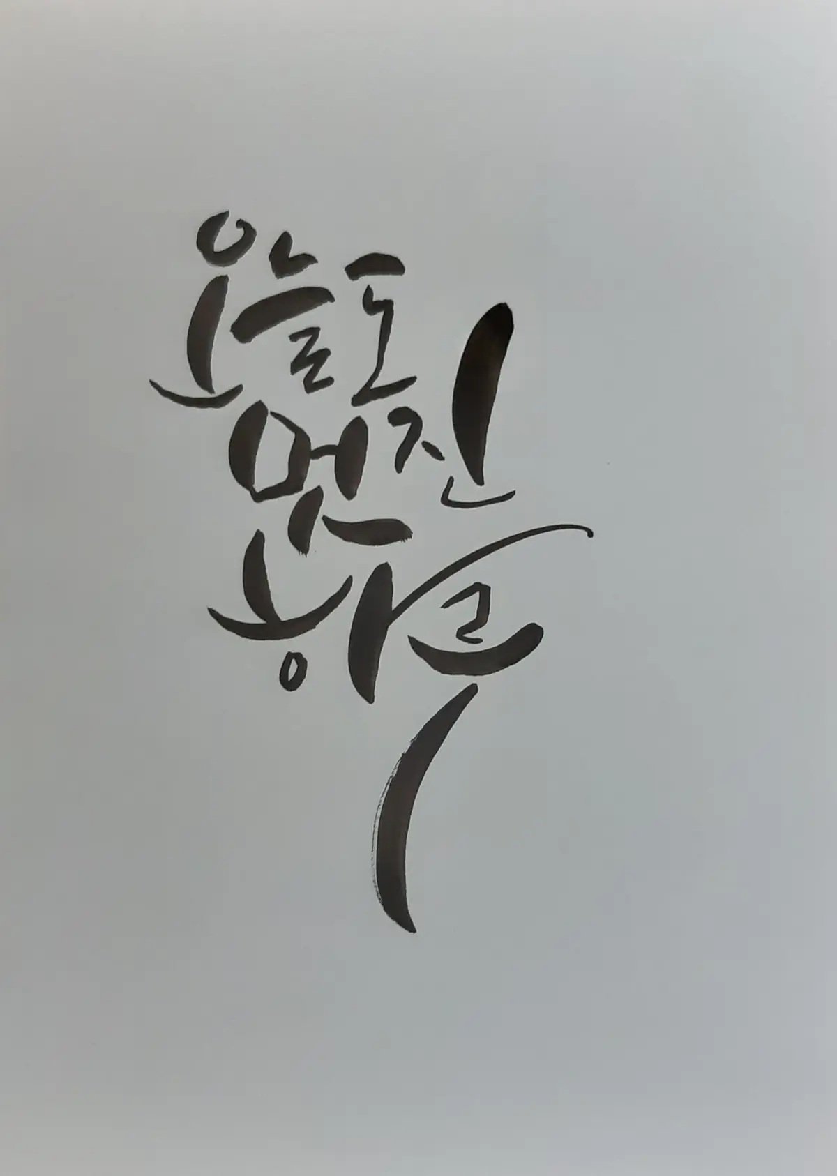 포트폴리오 이미지