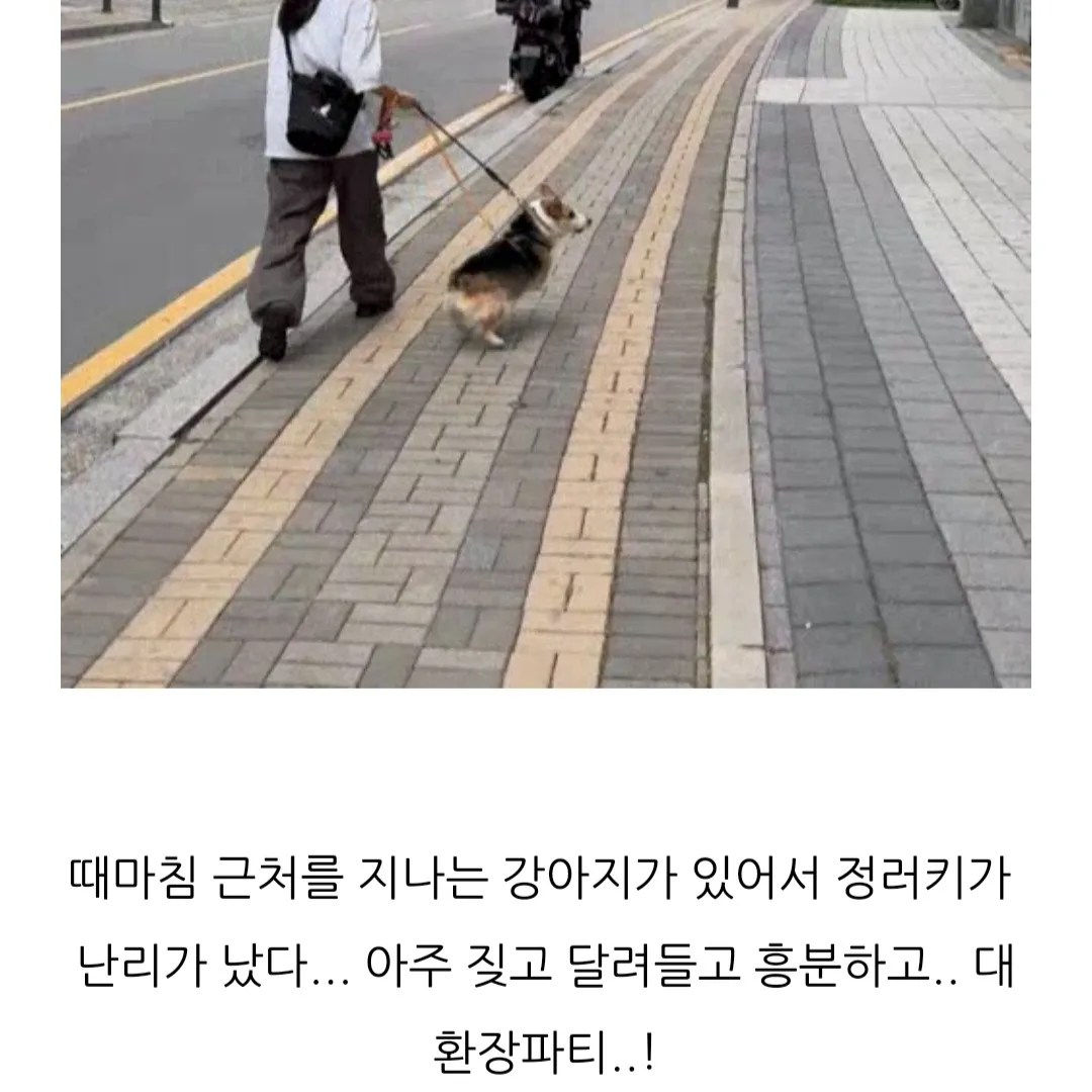 이미지 4
