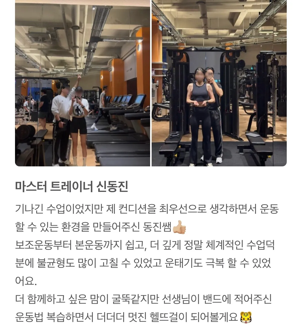 이미지 3