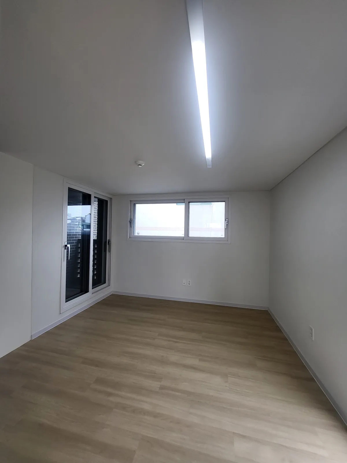 이미지 5