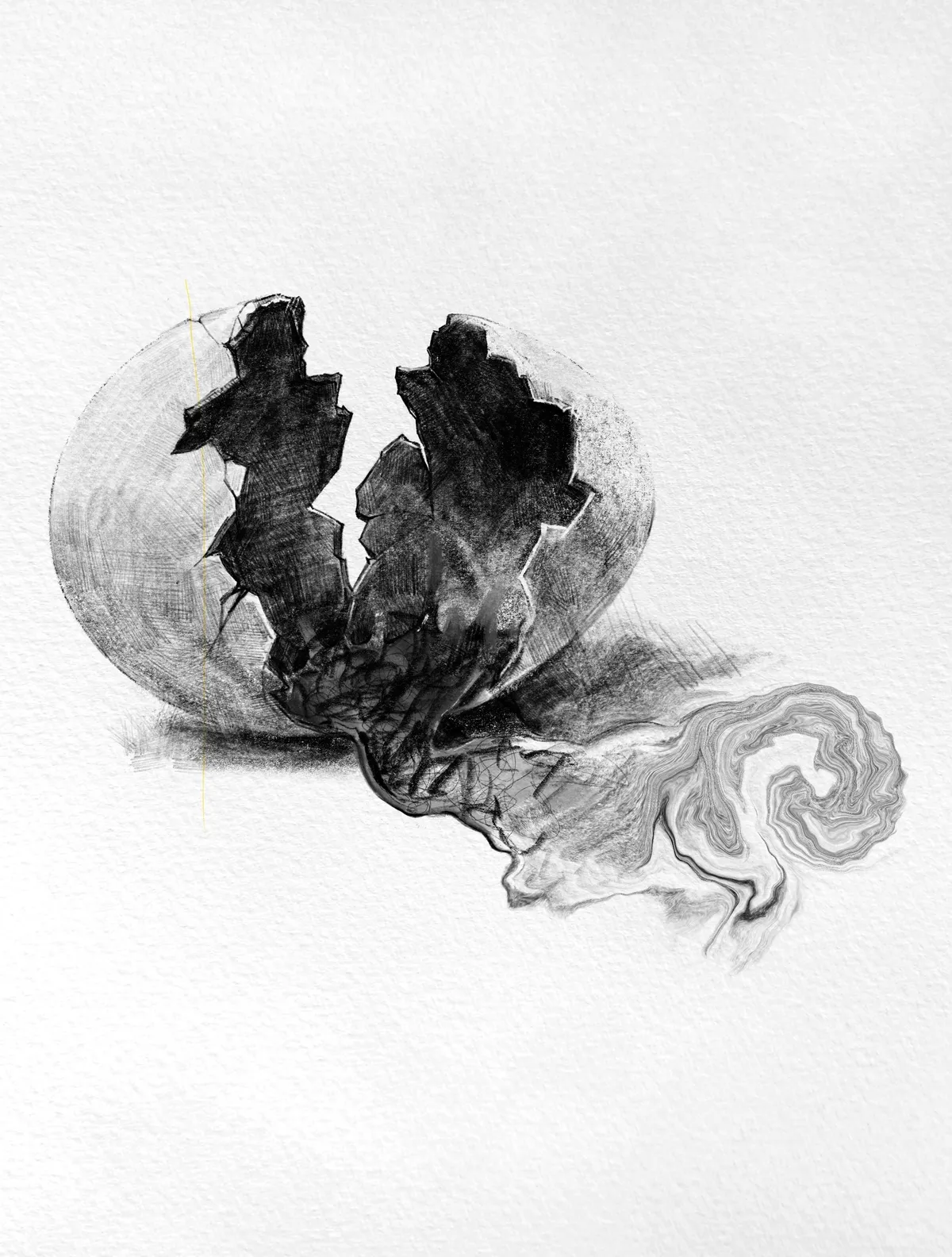 이미지 24