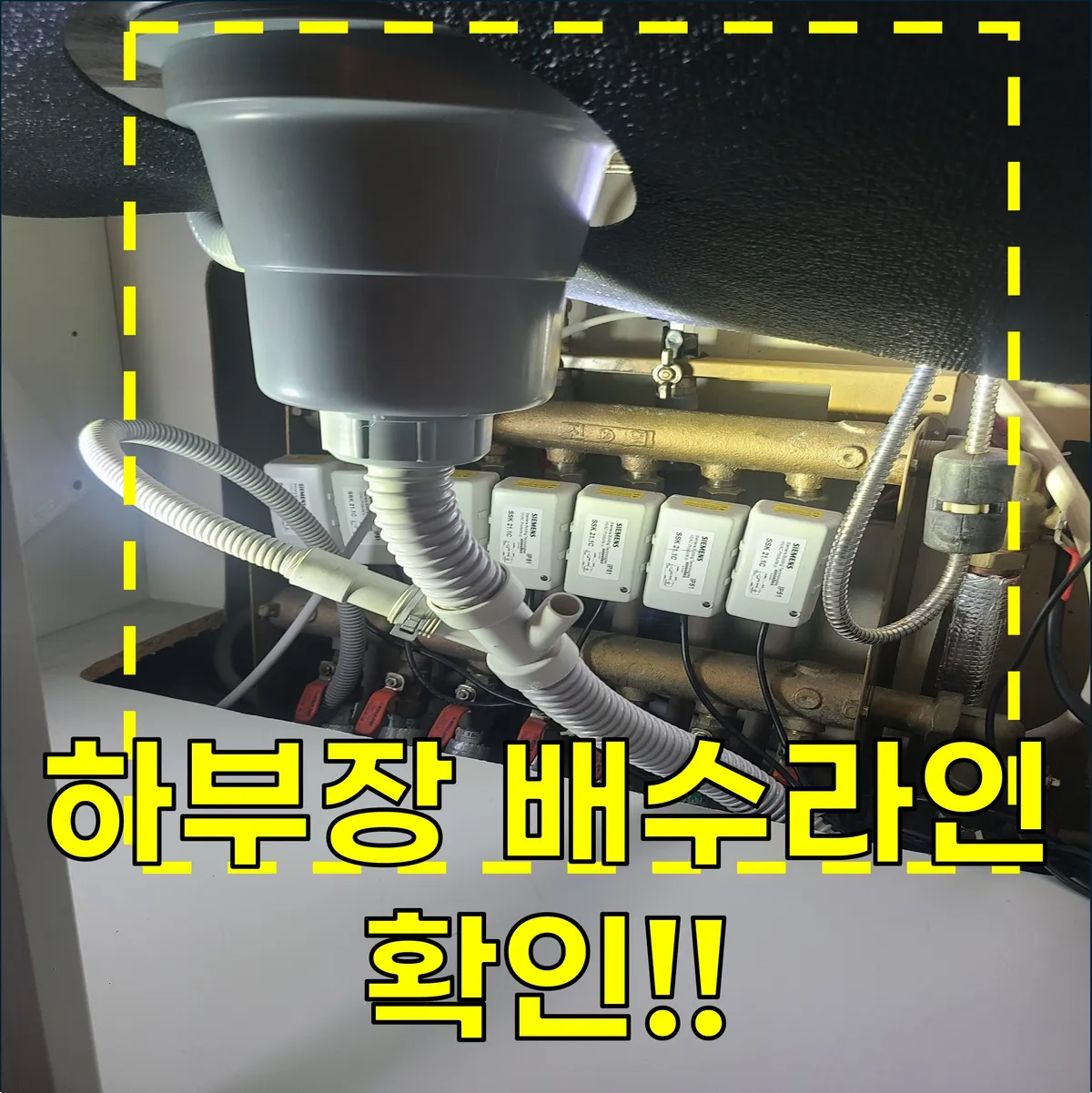 이미지 4