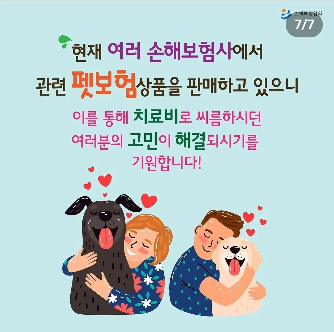이미지 8