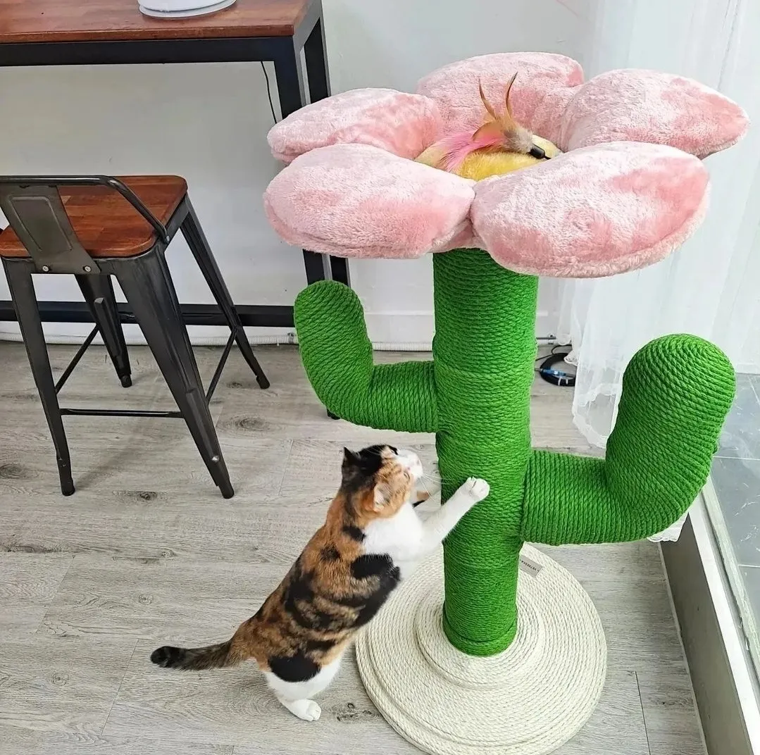 이미지 10