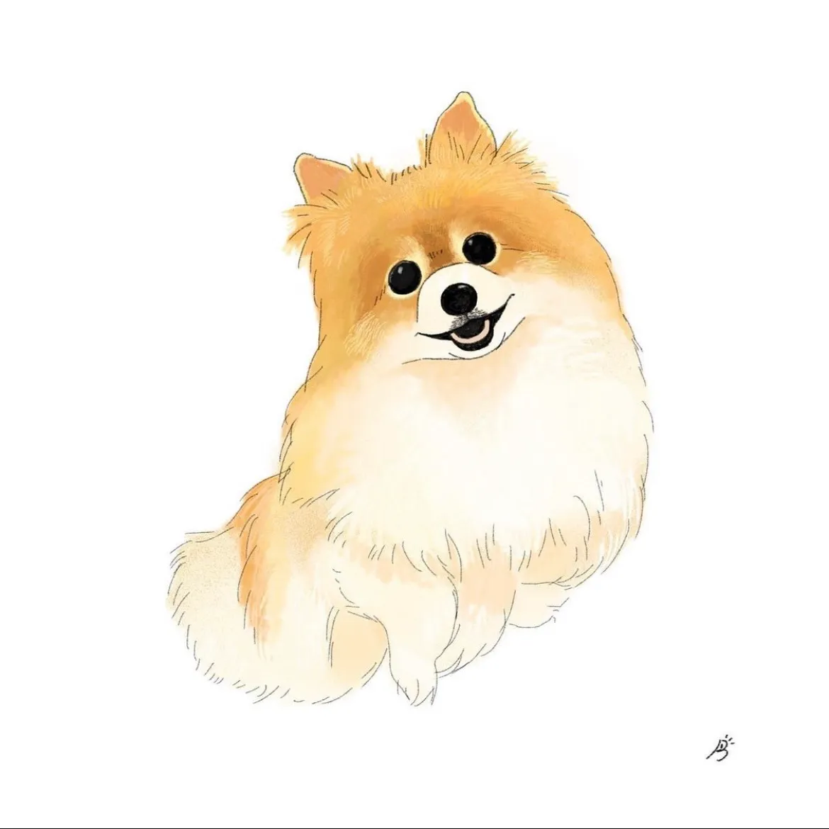 이미지 9