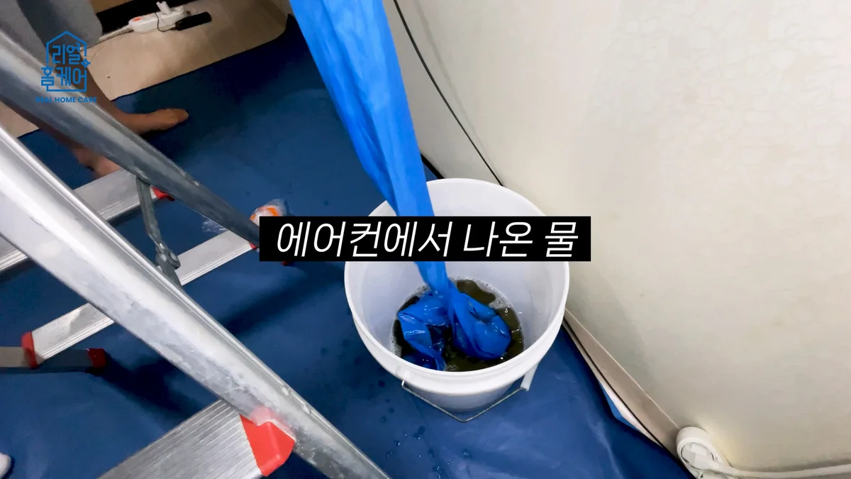 이미지 12