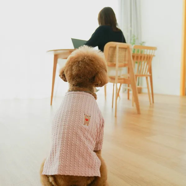 이미지 3