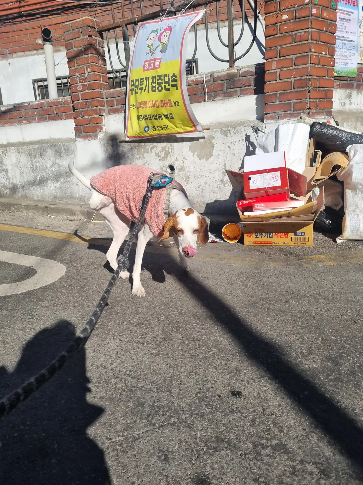 이미지 6