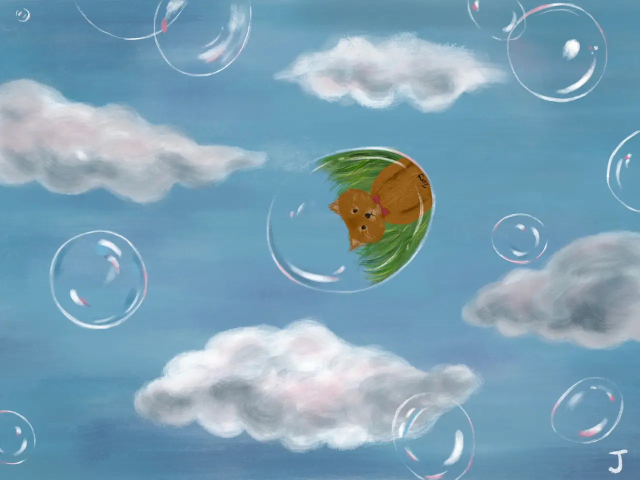 포트폴리오 이미지