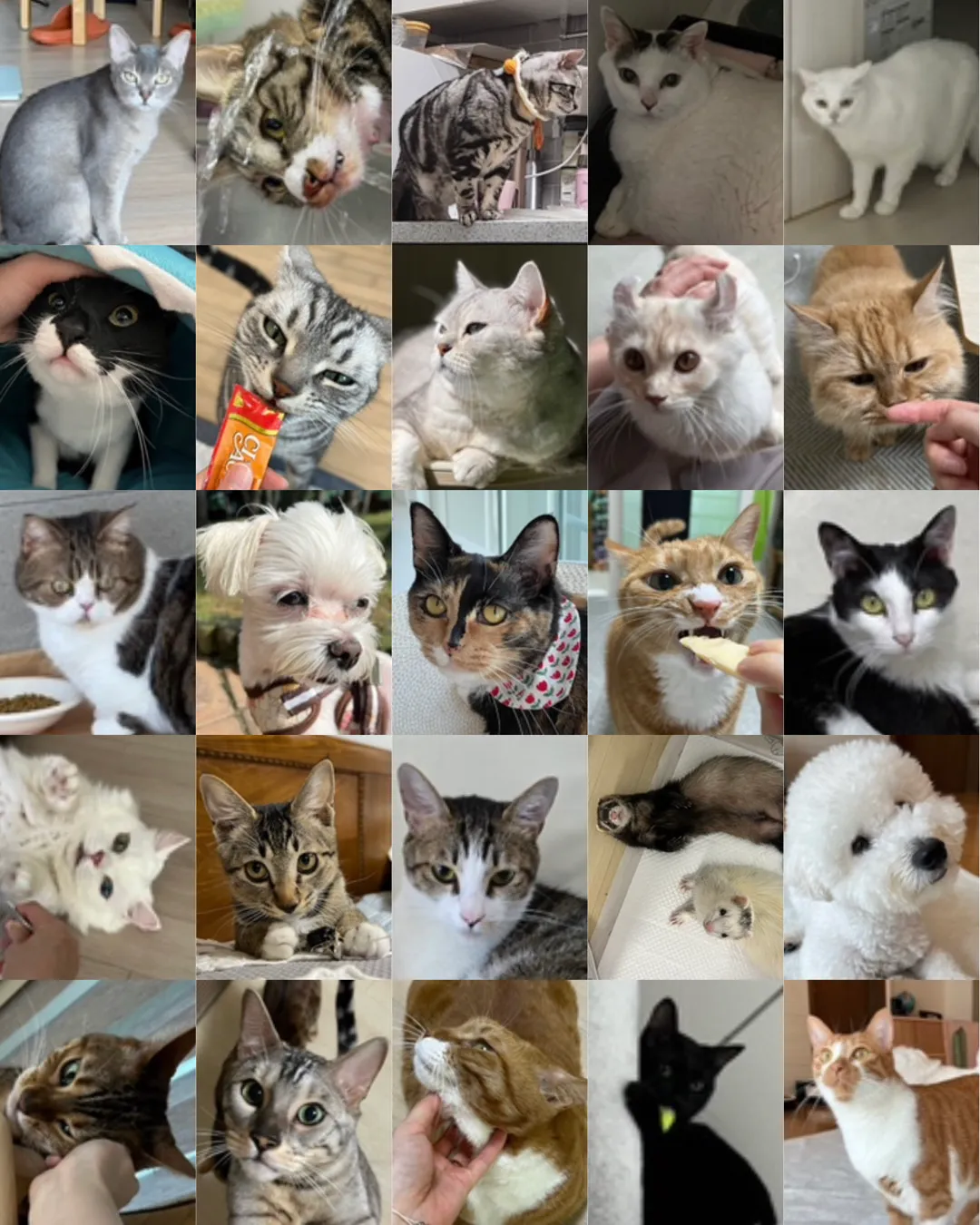 포트폴리오 이미지