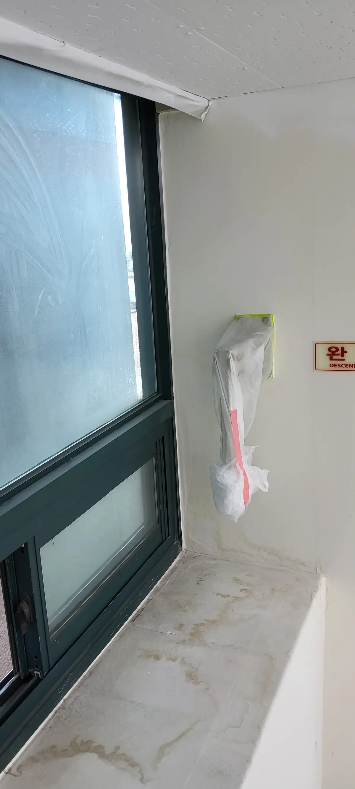 이미지 10
