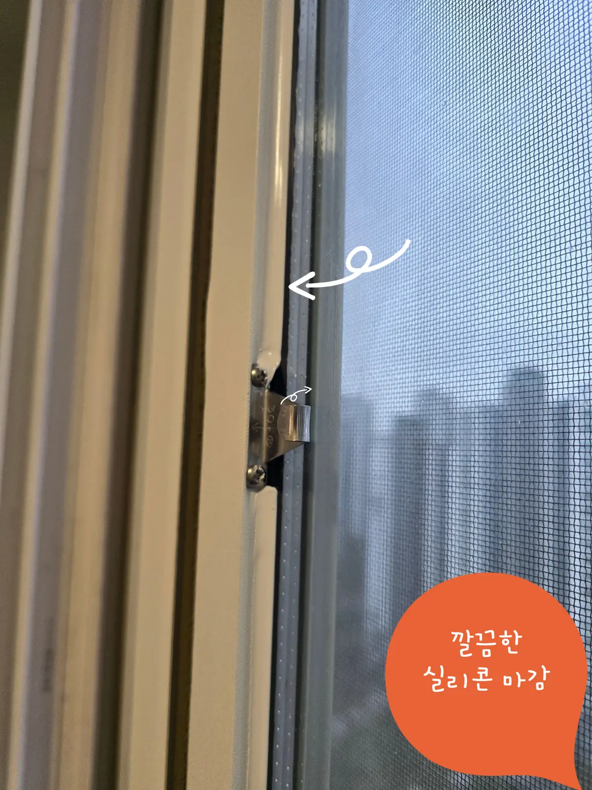 이미지 12