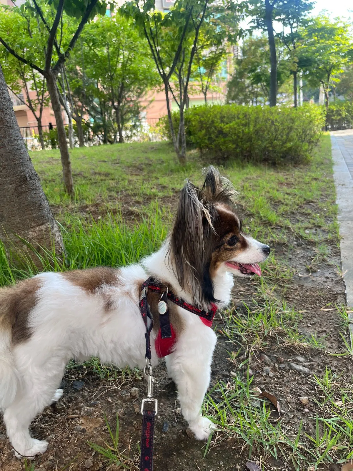 포트폴리오 이미지