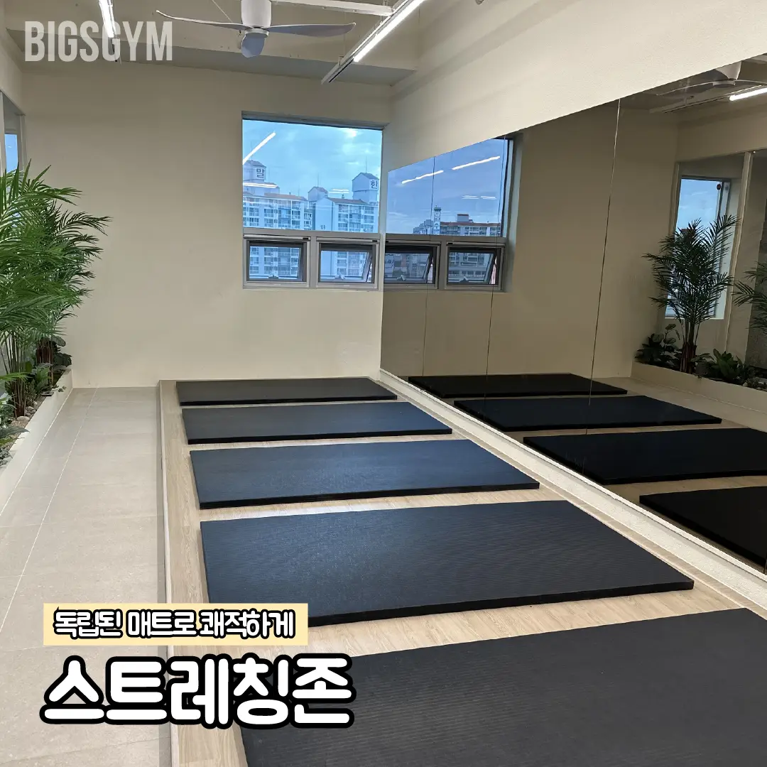 이미지 8