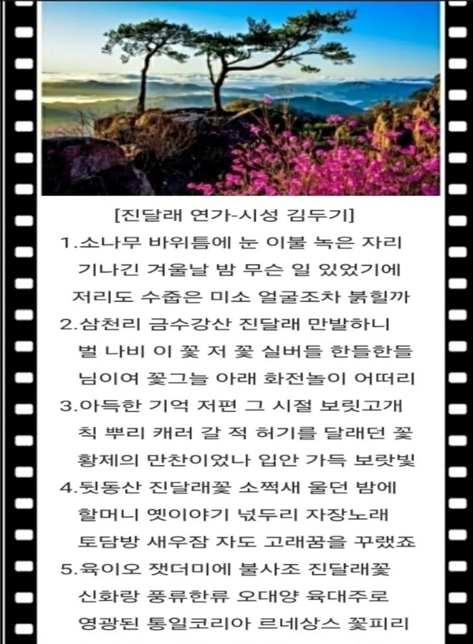 이미지 8