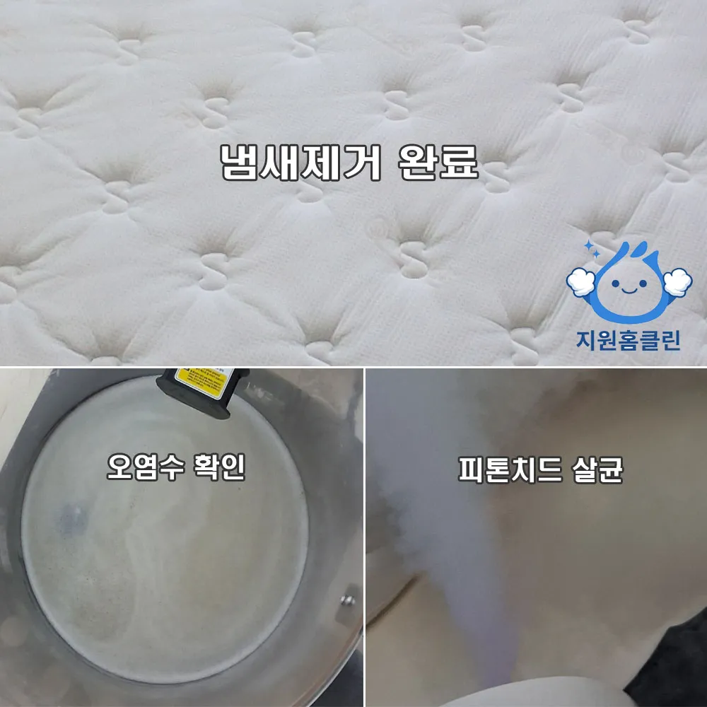 이미지 10