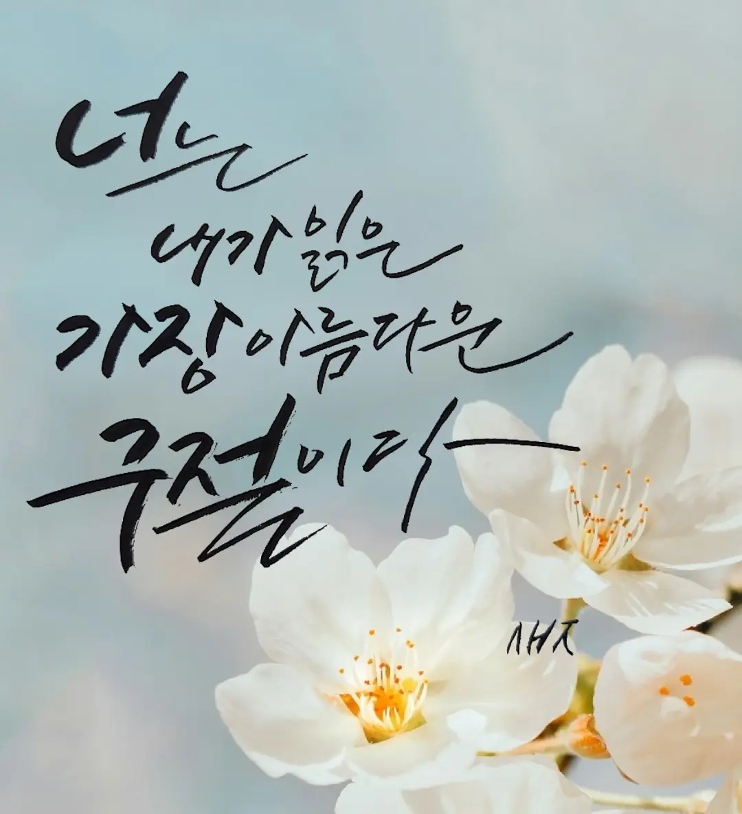 이미지 5