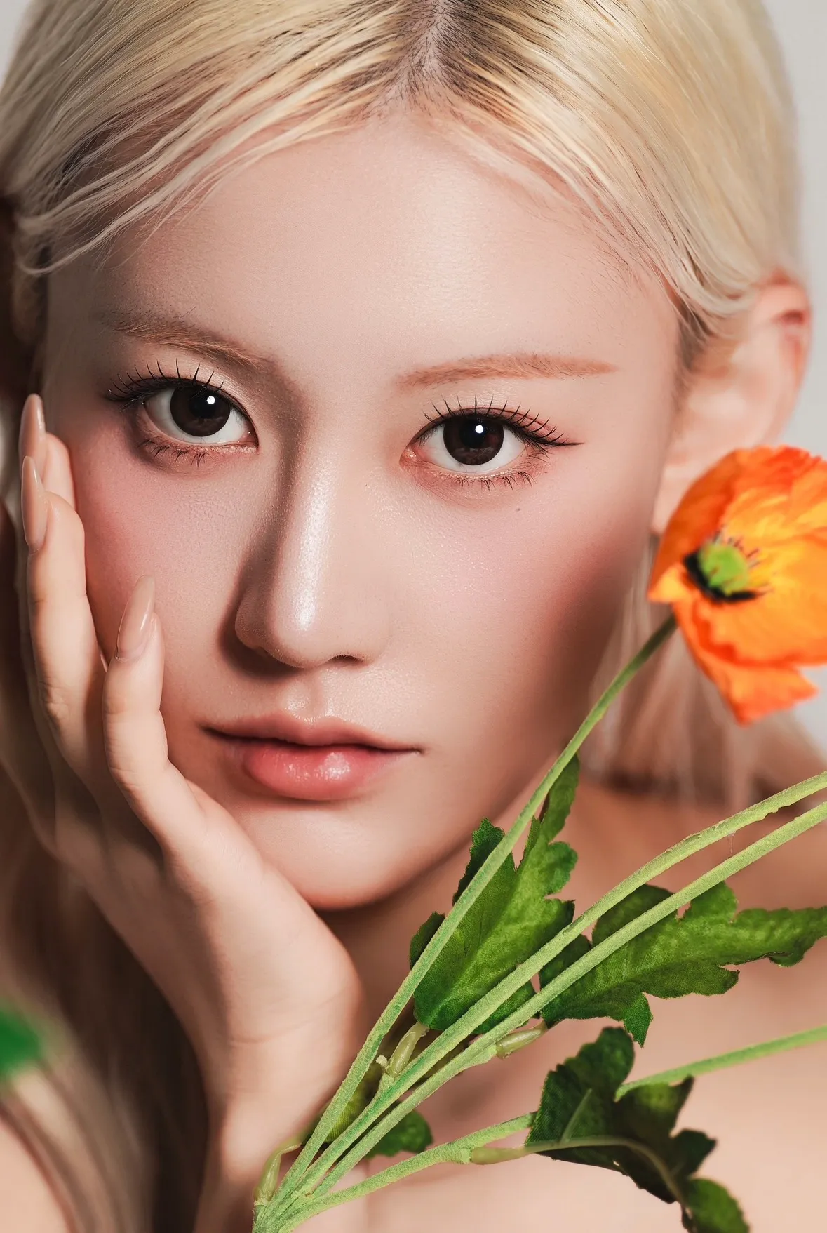 이미지 13