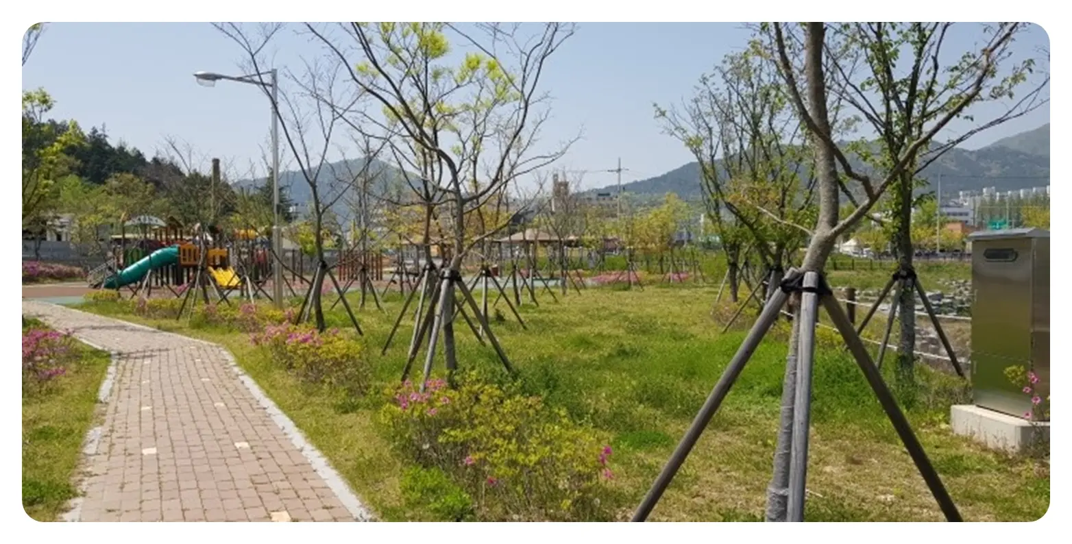 이미지 24