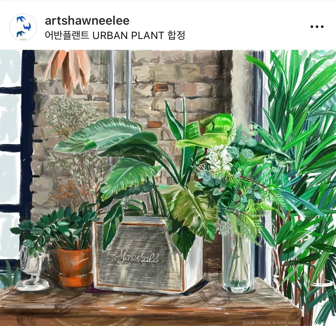 이미지 14
