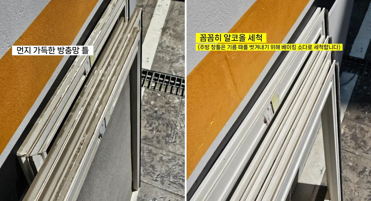이미지 22