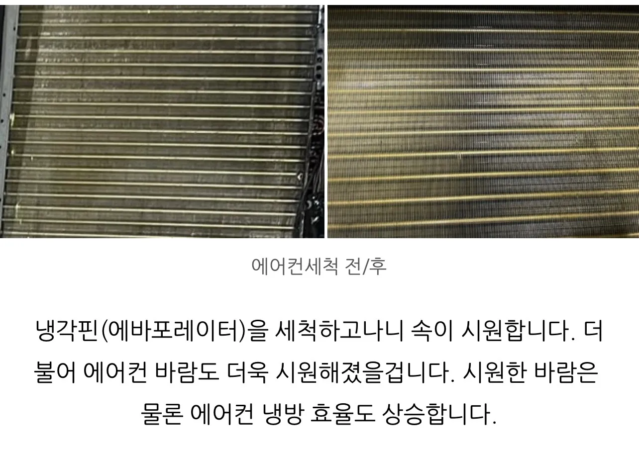 이미지 8