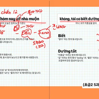 베트남어 온라인 전문레슨