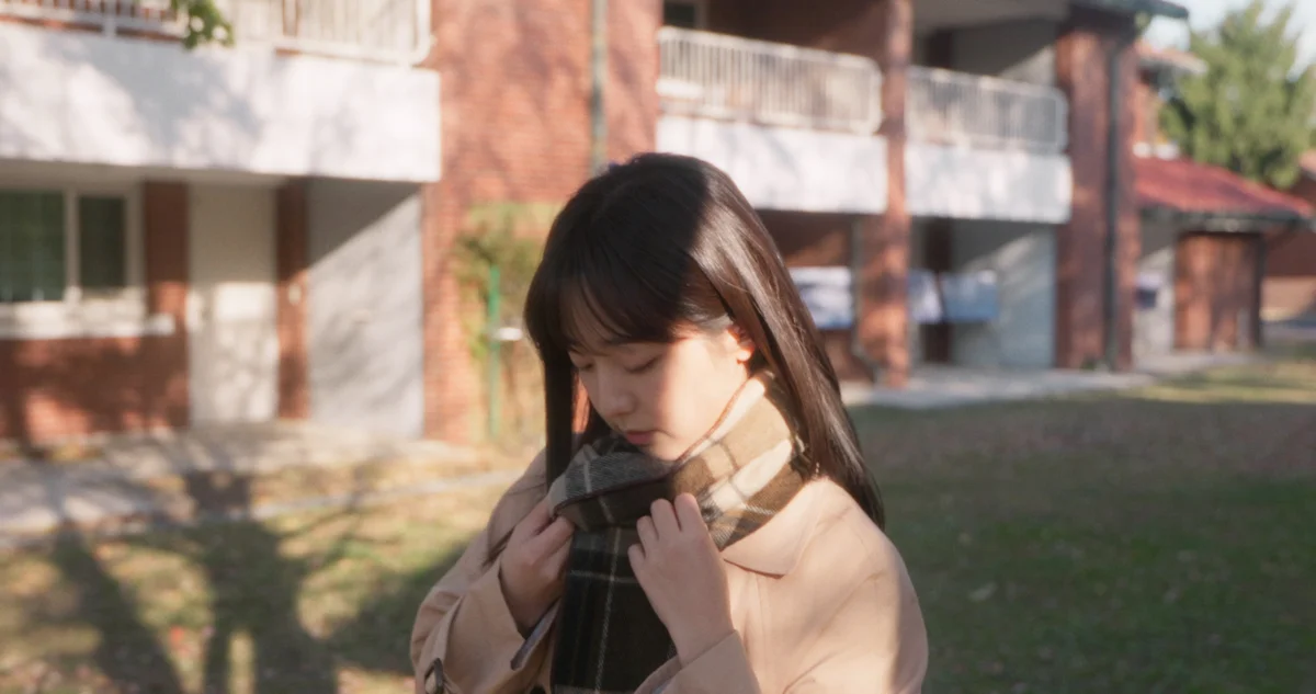 이미지 5